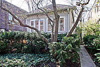 112 South Blvd Evanston IL image